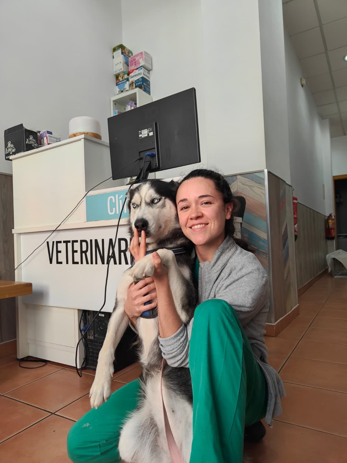 atención veterinaria integral basada en diagnóstico y seguimiento