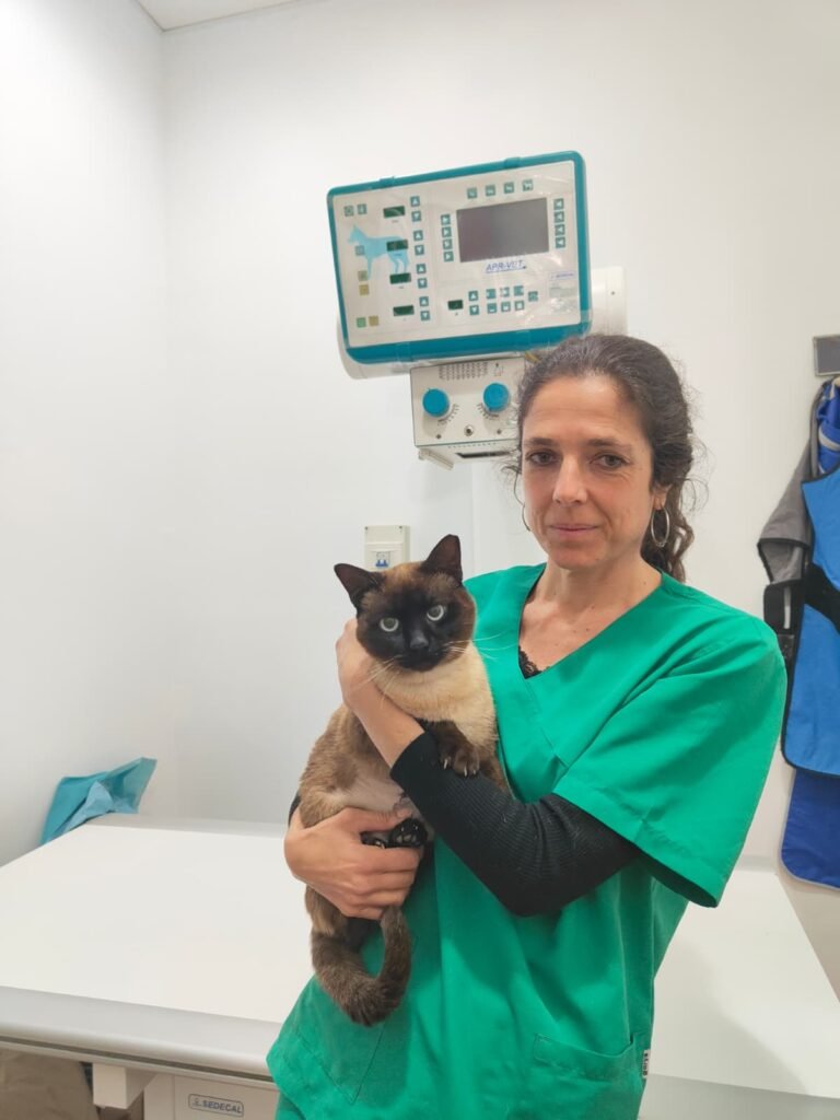 atención veterinaria integral basada en diagnóstico y seguimiento