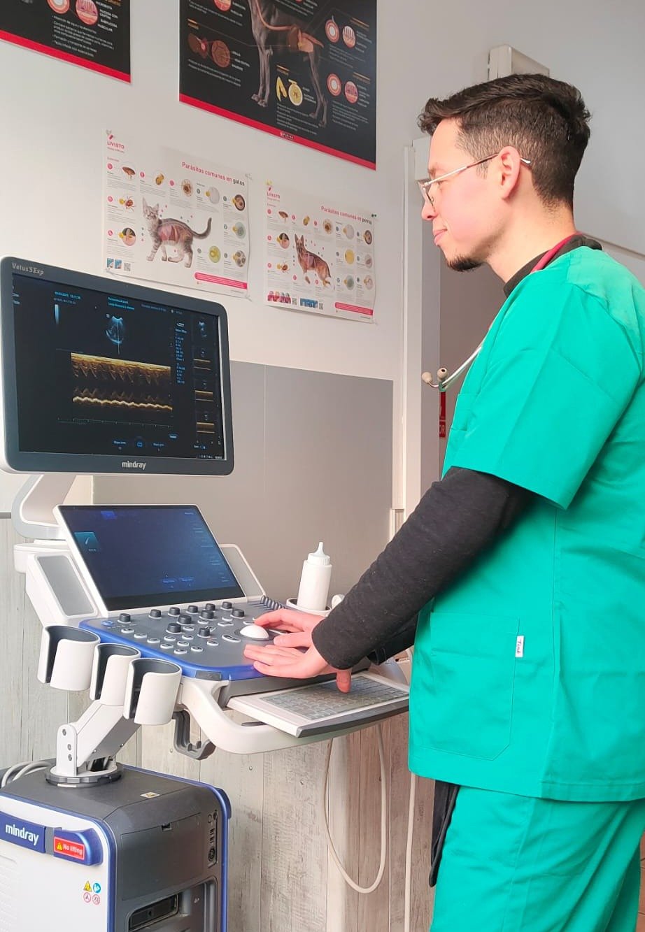 atención veterinaria integral basada en diagnóstico y seguimiento