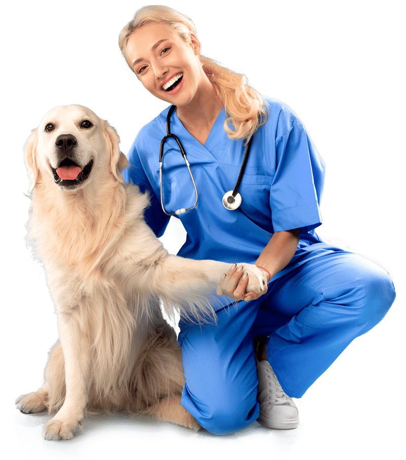 Artemisa - Centro Veterinario en Granada